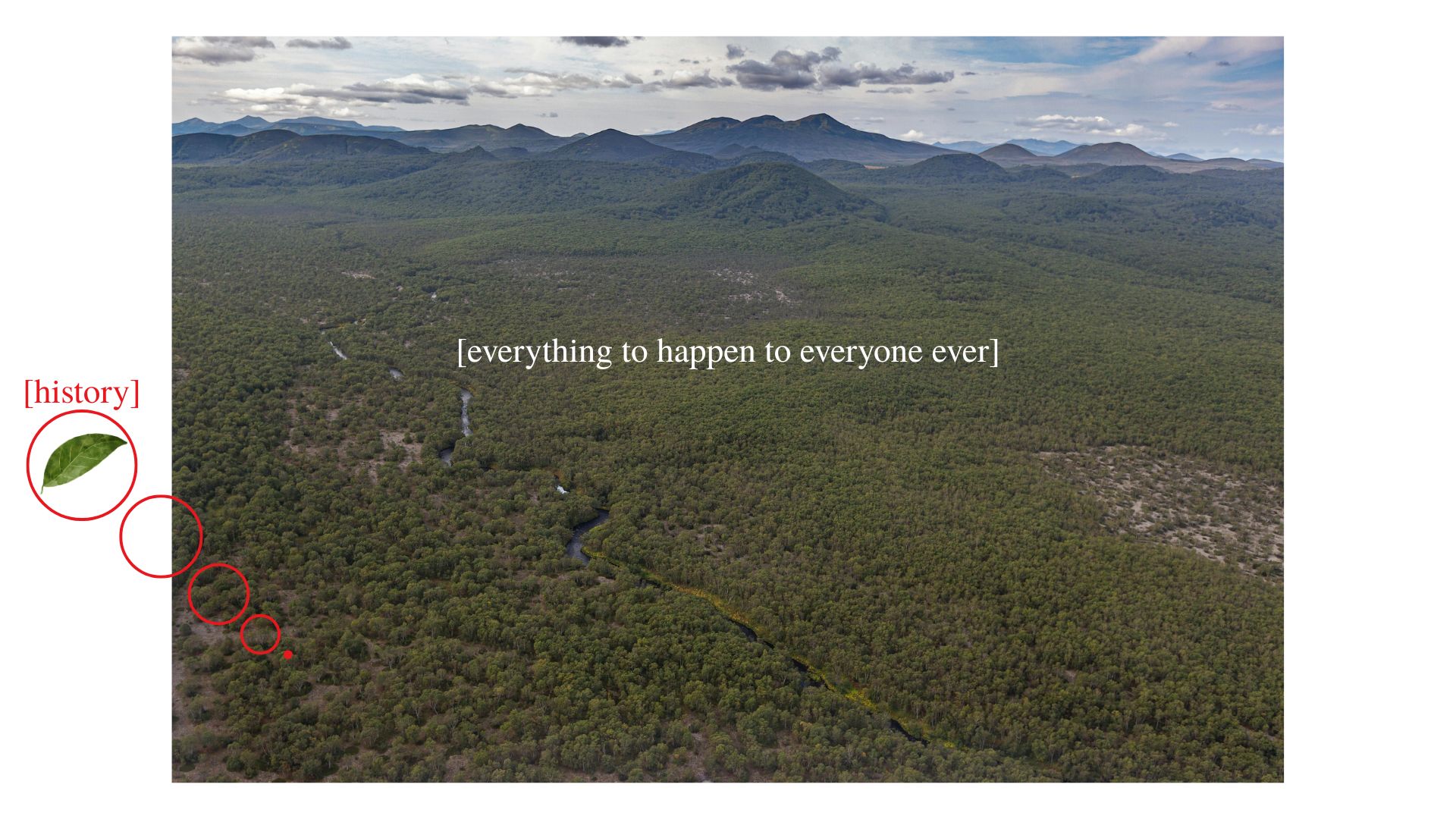 photo of vast forest, labeled "everything to happen to everyone ever" with a single leaf pulled out and labeled "history"
